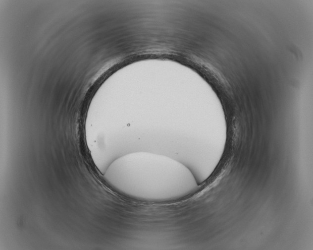 X0000113171162200910021516