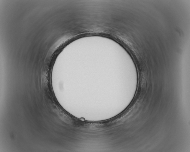 X0000113171163200910021516