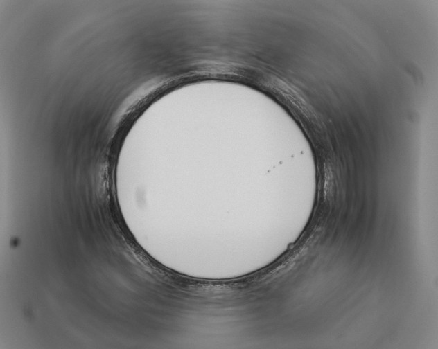 X0000113171164200910021516
