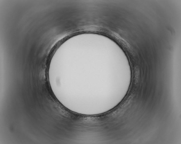 X0000113171166200910021516