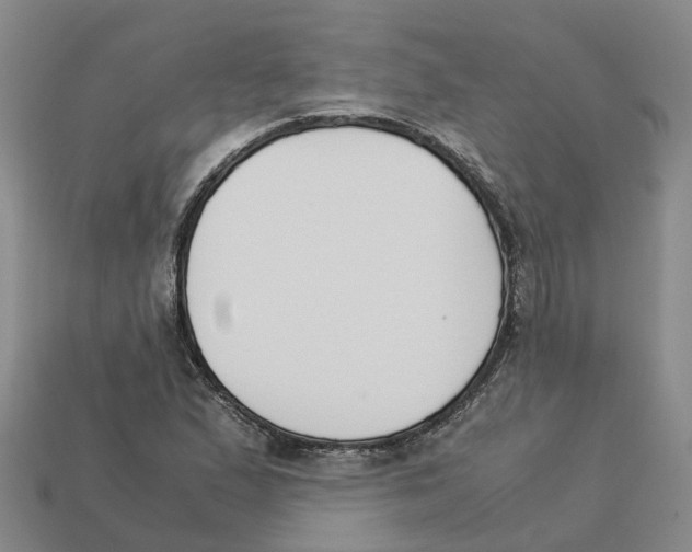 X0000113171167200910021516