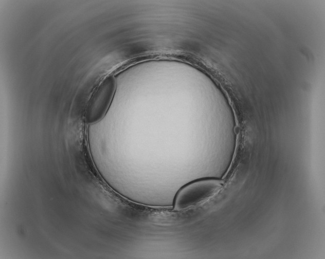X0000113171169200910021516