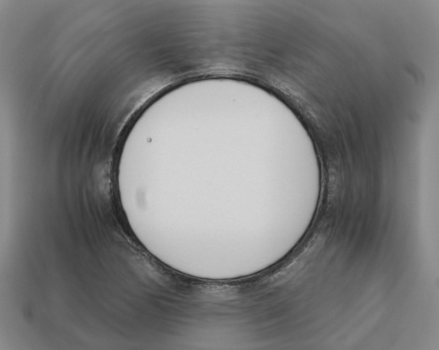 X0000113171170200910021516