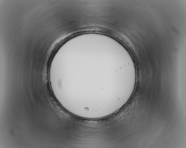 X0000113171172200910021516