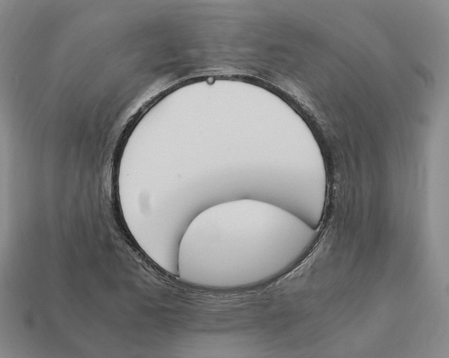 X0000113171173200910021516