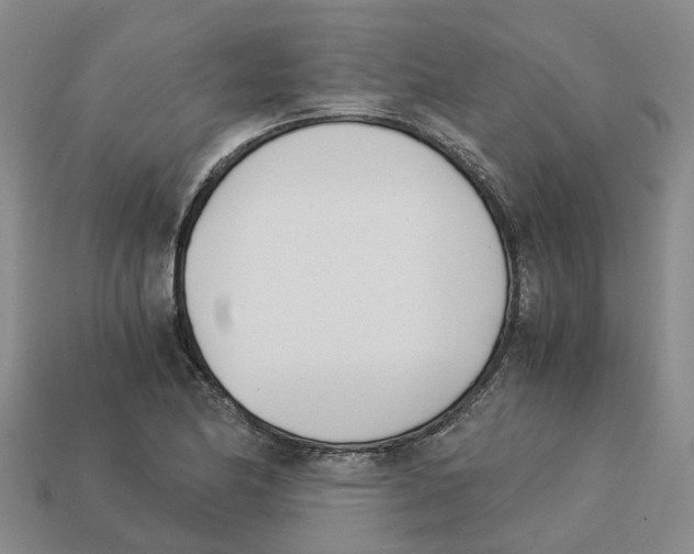 X0000113171174200910021516