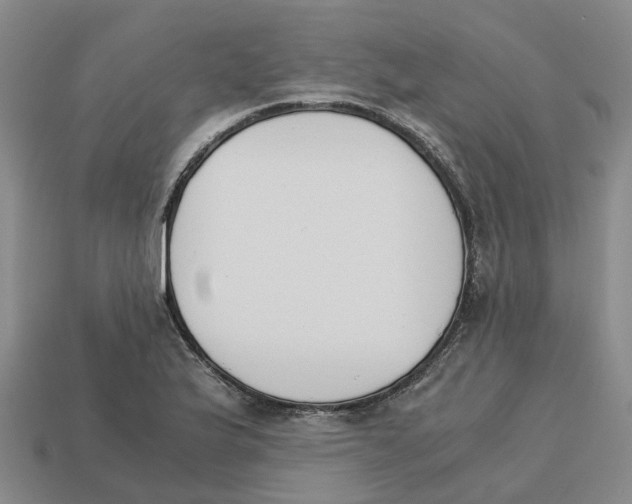 X0000113171175200910021516