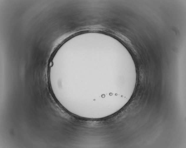 X0000113171176200910021516
