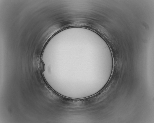 X0000113171177200910021516