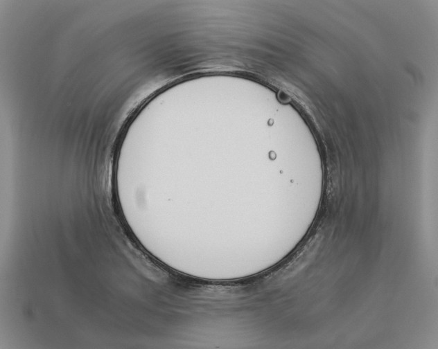 X0000113171179200910021516