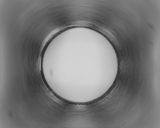 X0000113171180200910021516