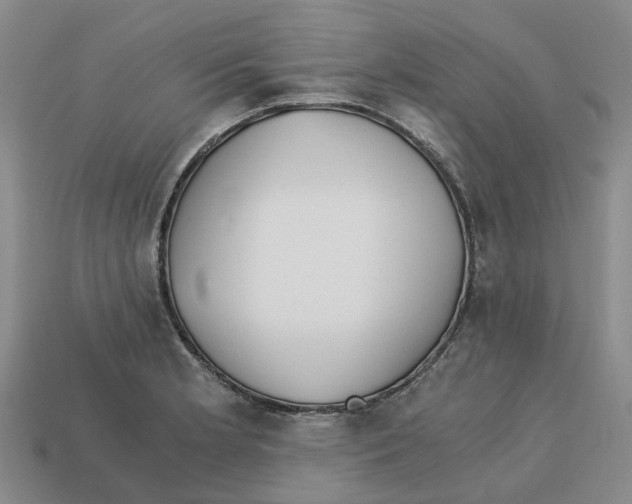 X0000113171181200910021516