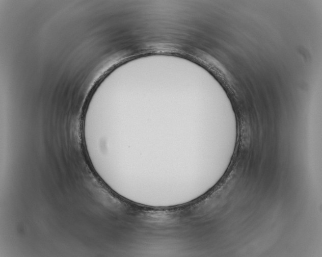 X0000113171182200910021516