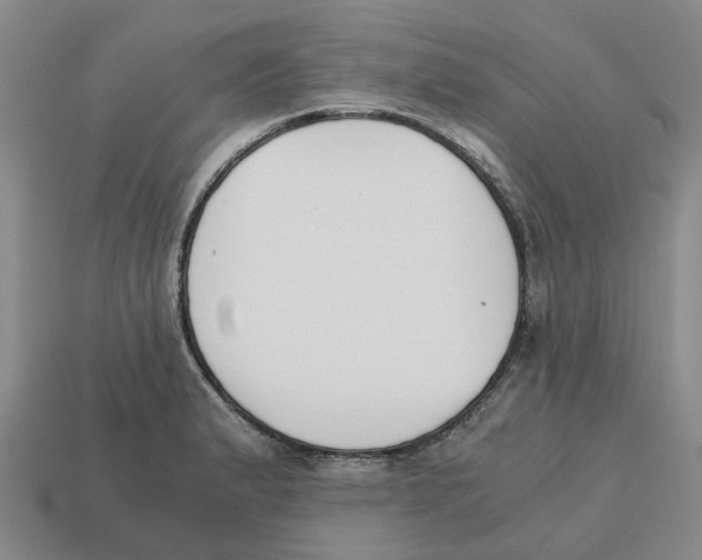 X0000113171183200910021516