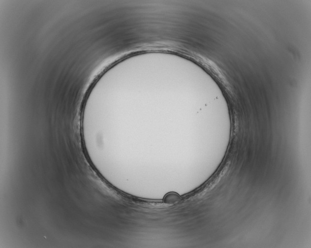 X0000113171184200910021516
