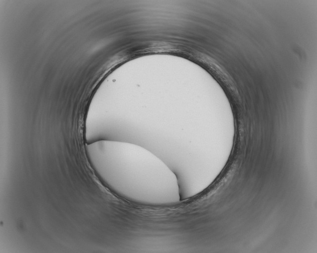X0000113171185200910021516