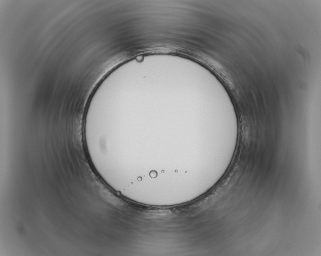 X0000113171186200910021516