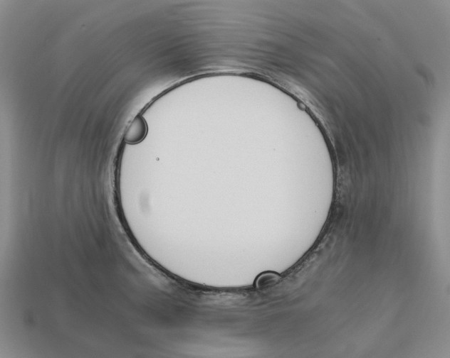 X0000113171187200910021516