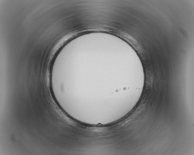 X0000113171188200910021516