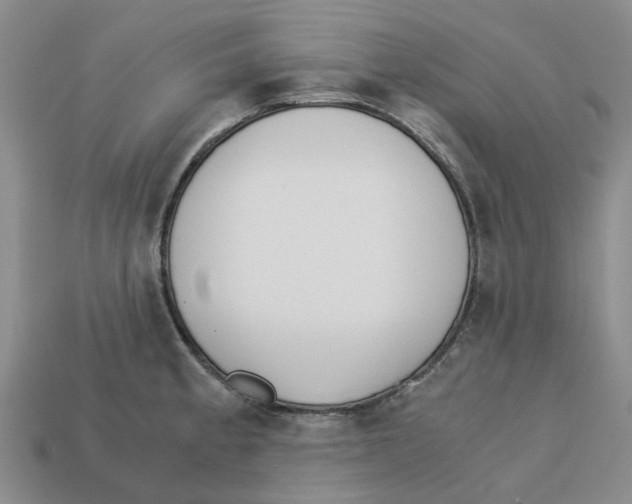 X0000113171189200910021516