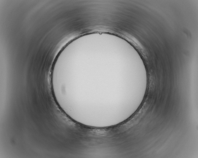X0000113171190200910021516