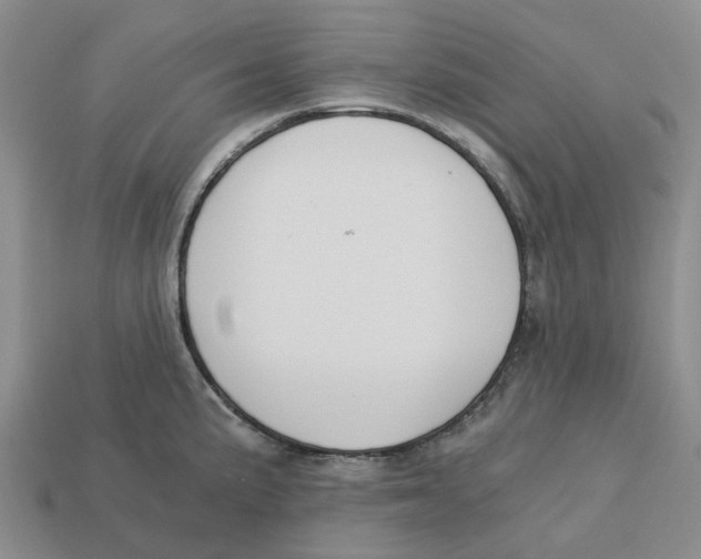 X0000113171191200910021516