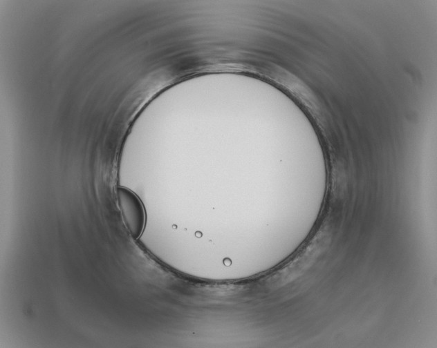 X0000113171193200910021516