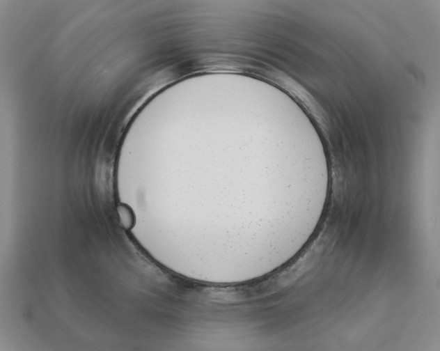 X0000113171194200910021516