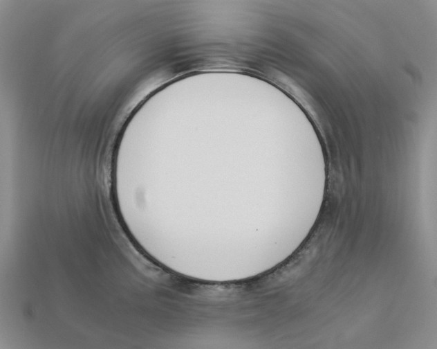 X0000113171195200910021516
