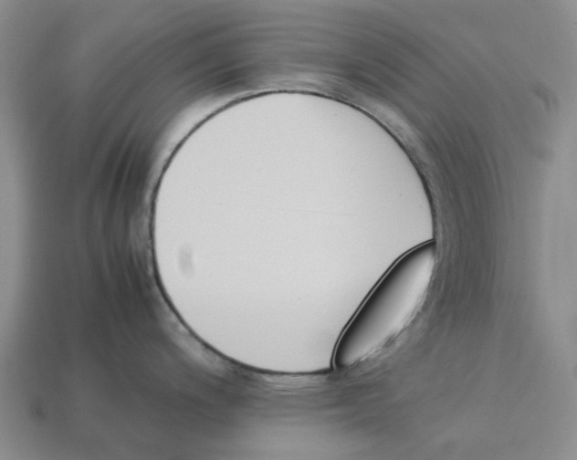 X0000113171200200910021516