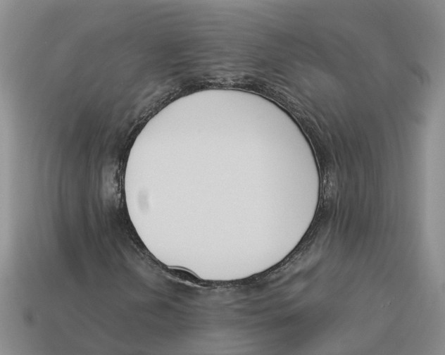 X0000113171202200910021515