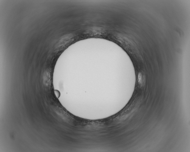 X0000113171203200910021515