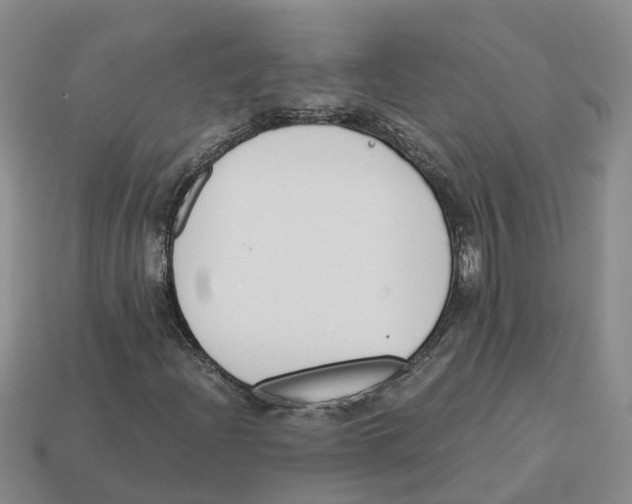 X0000113171204200910021515