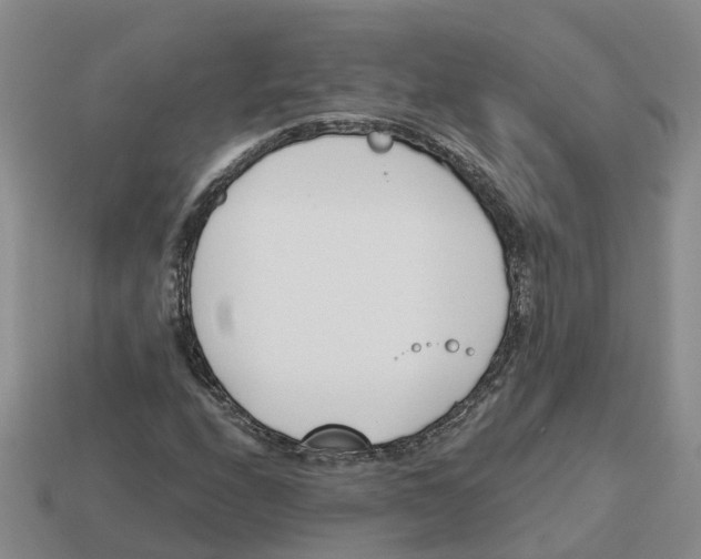 X0000113171208200910021515