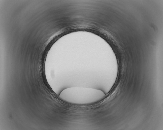 X0000113171210200910021515