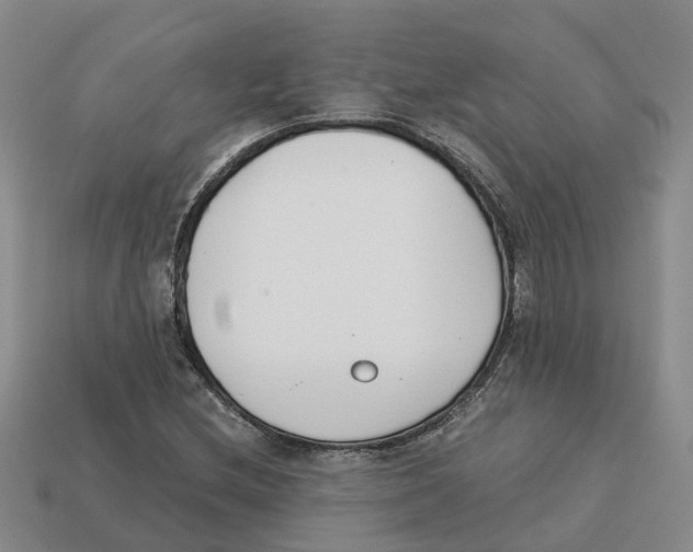 X0000113171212200910021515
