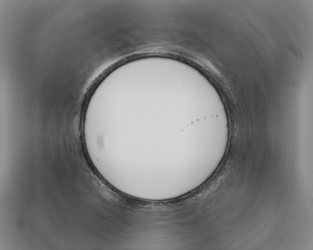 X0000113171216200910021515