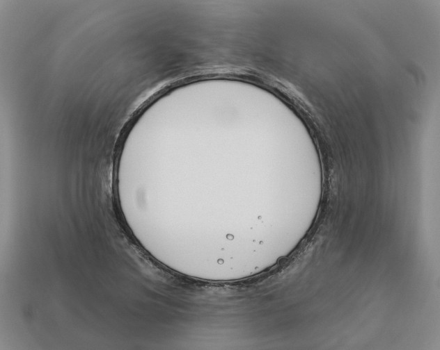 X0000113171220200910021515