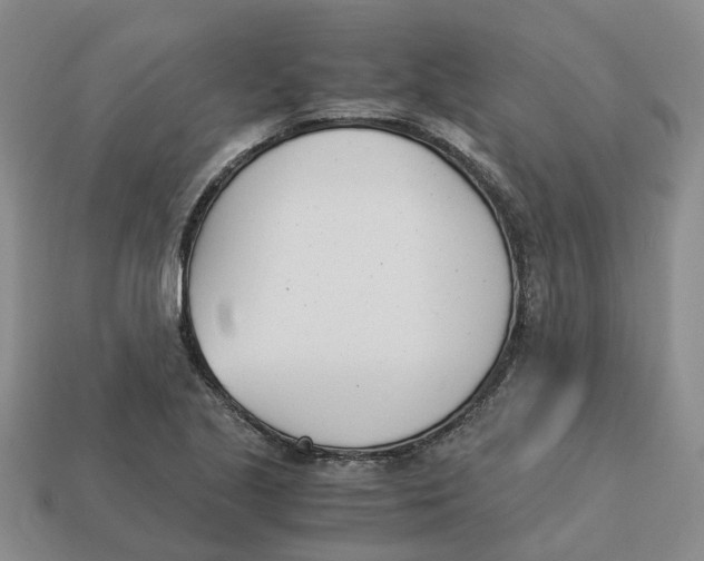 X0000113171221200910021515