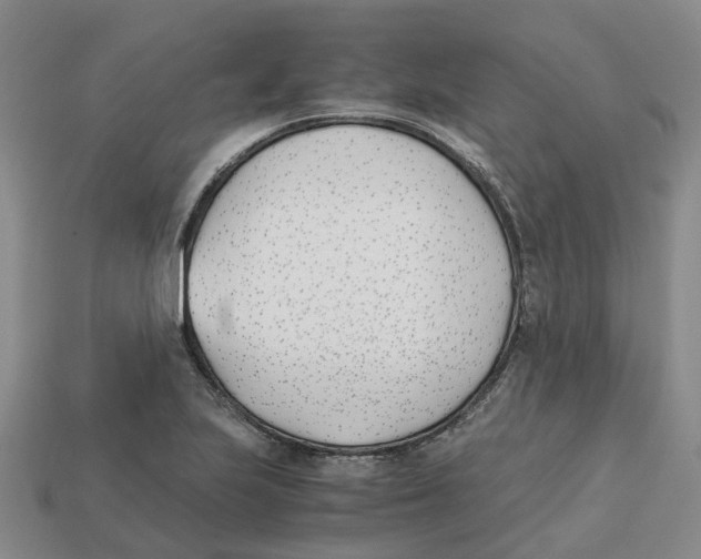 X0000113171223200910021515