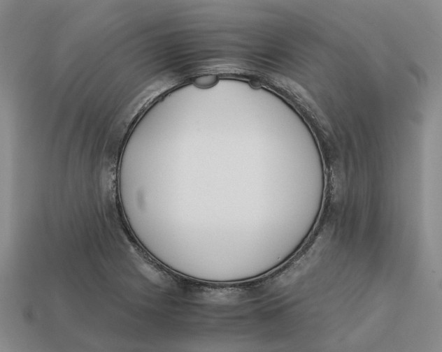 X0000113171225200910021515