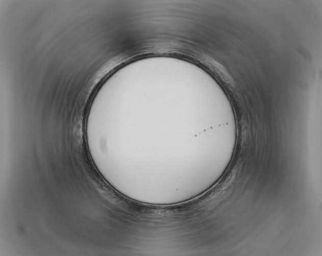 X0000113171226200910021515