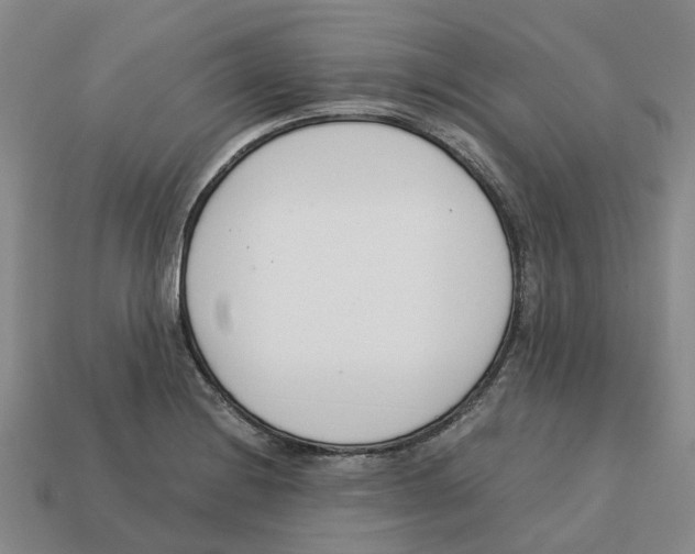 X0000113171228200910021515