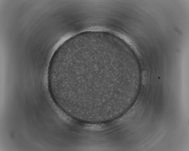 X0000113171229200910021515