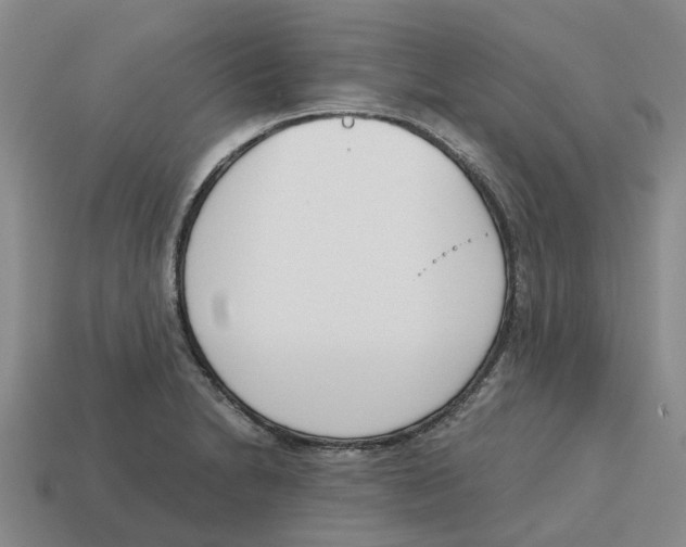 X0000113171230200910021515