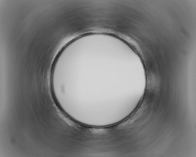 X0000113171231200910021515