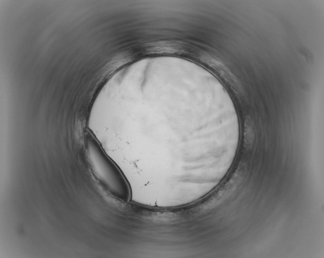 X0000113171233200910021515