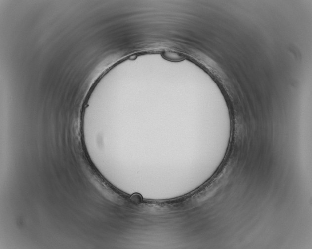 X0000113171234200910021515
