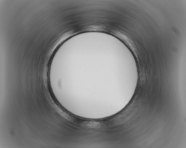 X0000113171235200910021515