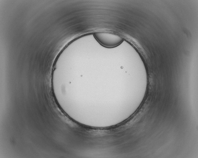 X0000113171236200910021515